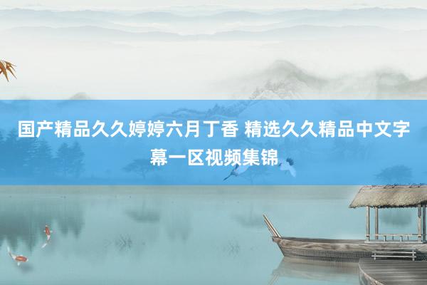 国产精品久久婷婷六月丁香 精选久久精品中文字幕一区视频集锦