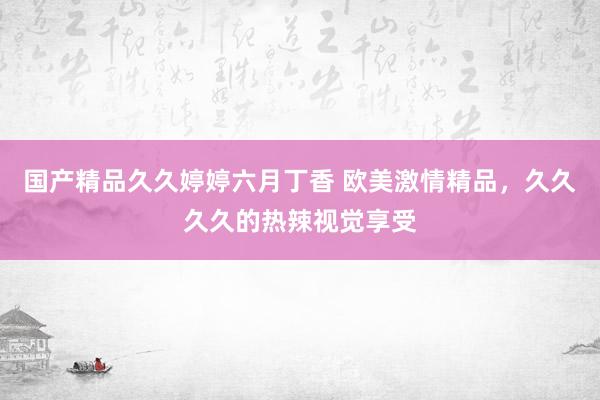 国产精品久久婷婷六月丁香 欧美激情精品，久久久久的热辣视觉享受