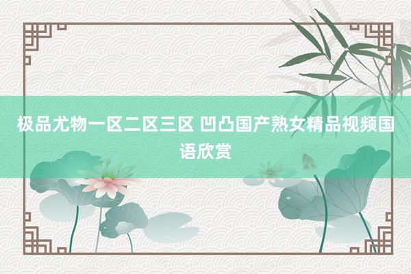 极品尤物一区二区三区 凹凸国产熟女精品视频国语欣赏