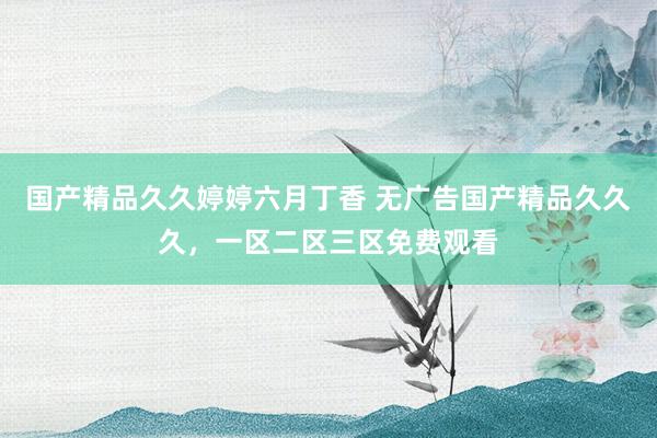国产精品久久婷婷六月丁香 无广告国产精品久久久，一区二区三区免费观看