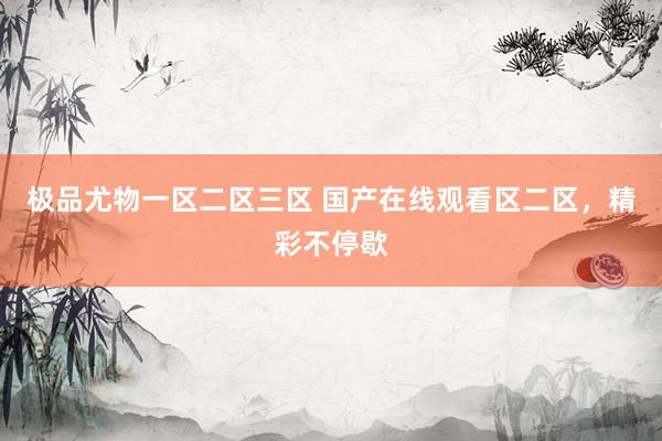 极品尤物一区二区三区 国产在线观看区二区，精彩不停歇