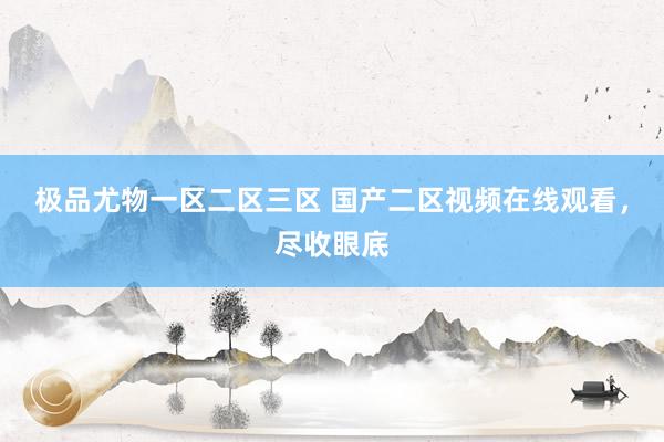 极品尤物一区二区三区 国产二区视频在线观看，尽收眼底