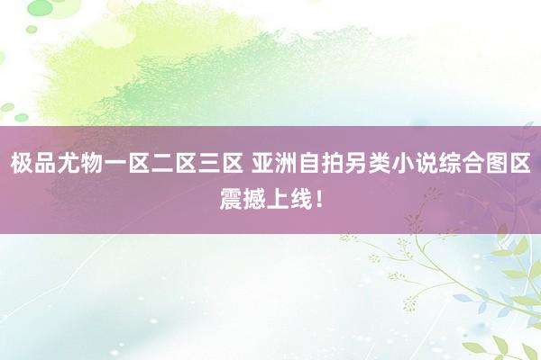 极品尤物一区二区三区 亚洲自拍另类小说综合图区震撼上线！