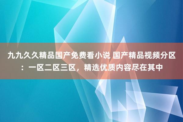 九九久久精品国产免费看小说 国产精品视频分区：一区二区三区，精选优质内容尽在其中