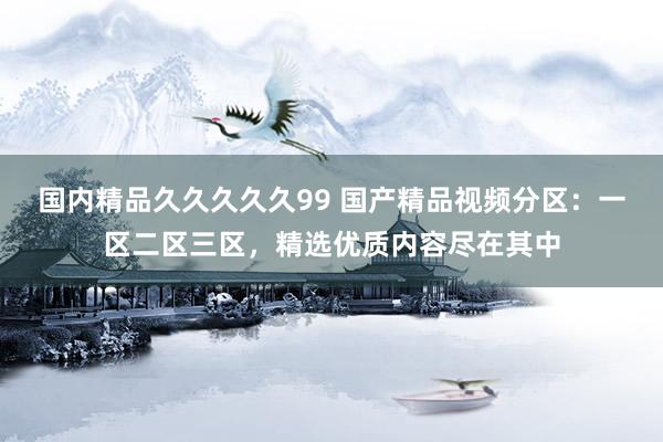 国内精品久久久久久99 国产精品视频分区：一区二区三区，精选优质内容尽在其中