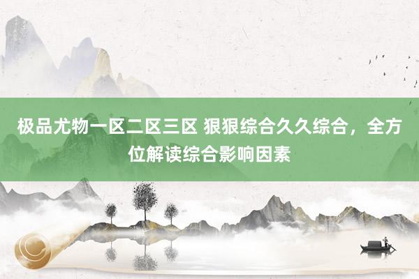 极品尤物一区二区三区 狠狠综合久久综合，全方位解读综合影响因素