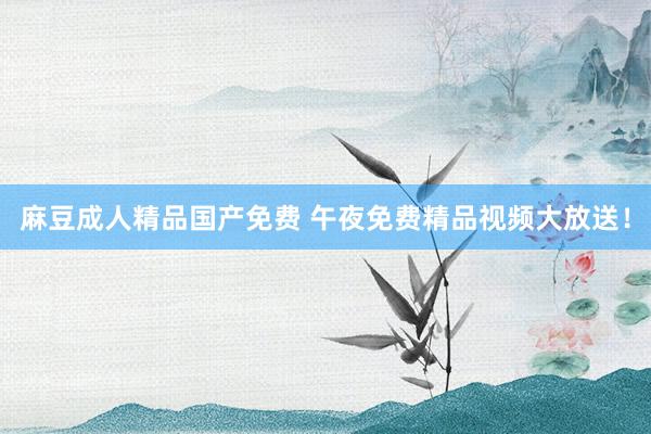 麻豆成人精品国产免费 午夜免费精品视频大放送！