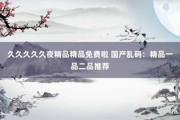 久久久久久夜精品精品免费啦 国产乱码：精品一品二品推荐